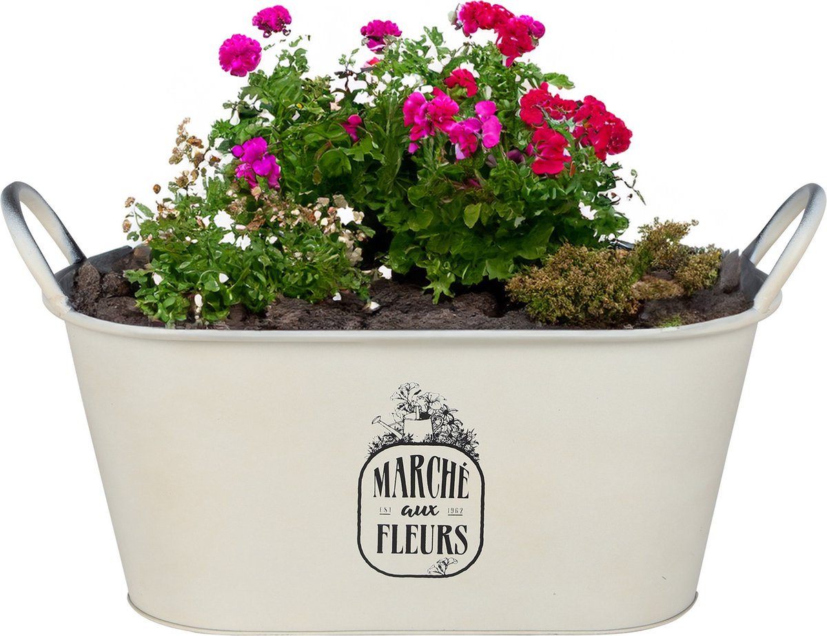 Goedkoopste Sunnydays Teil/plantenpot/bloempot - zink - ivoorwit - L39 x B16 x H21 cm