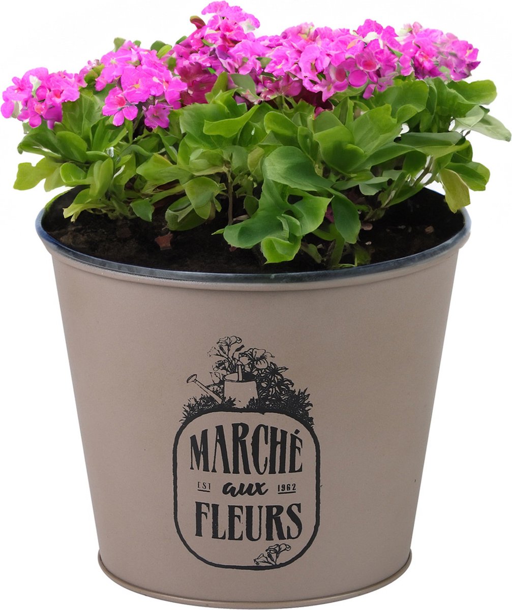 Goedkoopste Sunnydays /plantenpot/bloempot - zink - taupe - D17 x H14 cm
