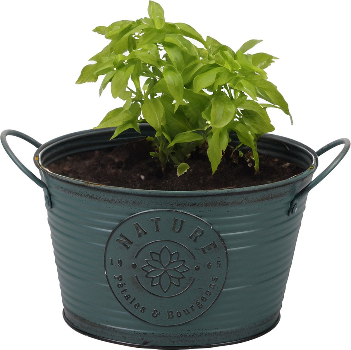 Goedkoopste Sunnydays Teil/plantenpot/bloempot - zink - rond - petrolblauw - D22 x H12 cm