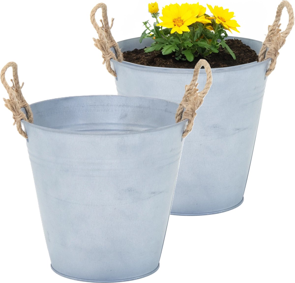Goedkoopste Mega Collections Emmer/plantenpot/bloempot Old Rope - 2x - zink - zilver - D22 X H20 cm