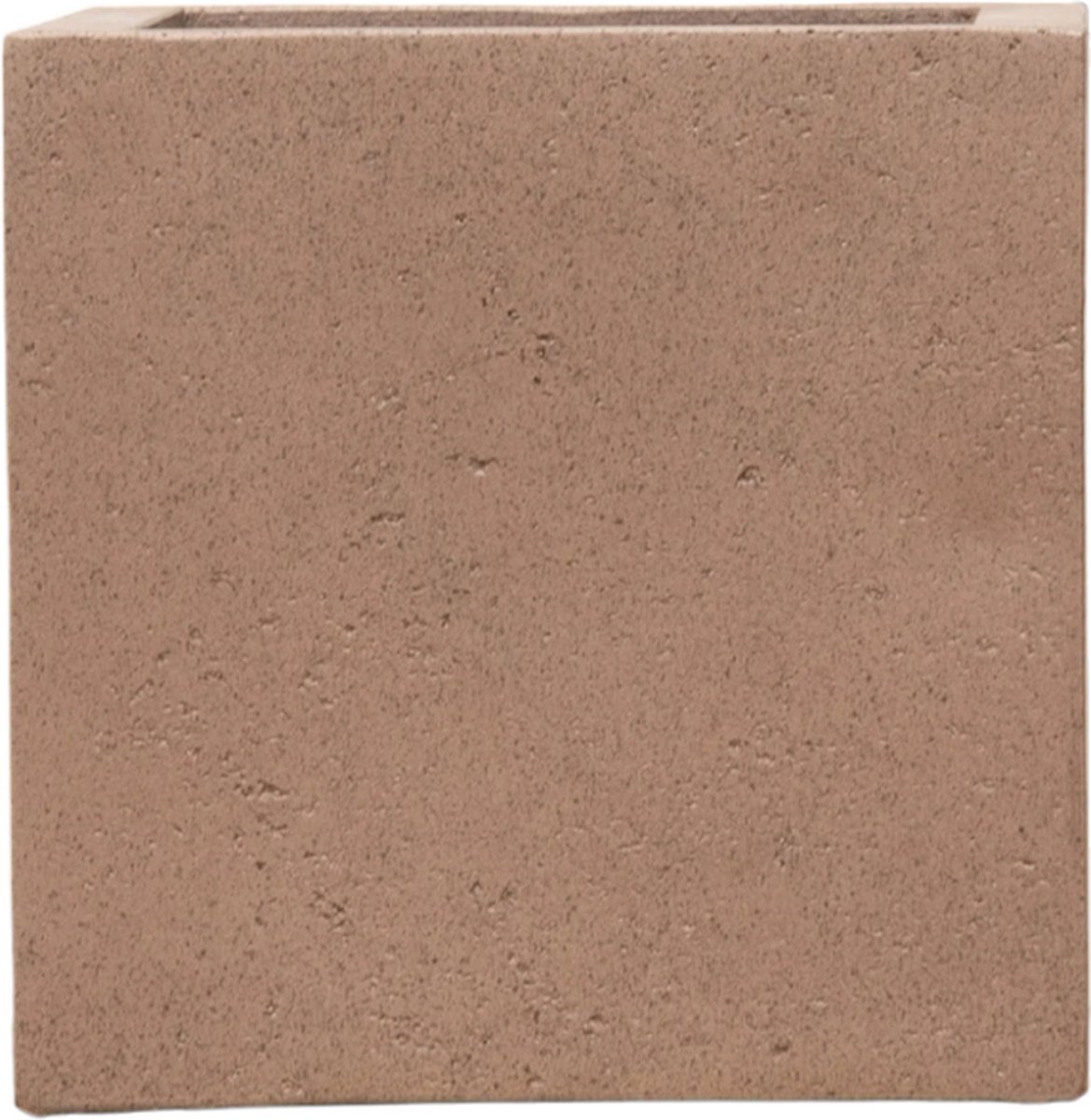Olijfboom Olea Europaea Cultivo inclusief Grigio Cube - 210cm -Planten - tuin - garden