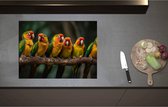 Inductieplaat Beschermer - Ara papegaaien zitten op een rijtje langs elkaar op een tak - 70x52 cm - 2 mm Dik - Inductie Beschermer - Bescherming Inductiekookplaat - Kookplaat Beschermer van Zwart Vinyl