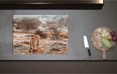 Inductieplaat Beschermer - Achteraanzicht van Sluipende Leeuw in Afrikaans Landschap - 71x52 cm - 2 mm Dik - Inductie Beschermer - Bescherming Inductiekookplaat - Kookplaat Beschermer van Zwart Vinyl