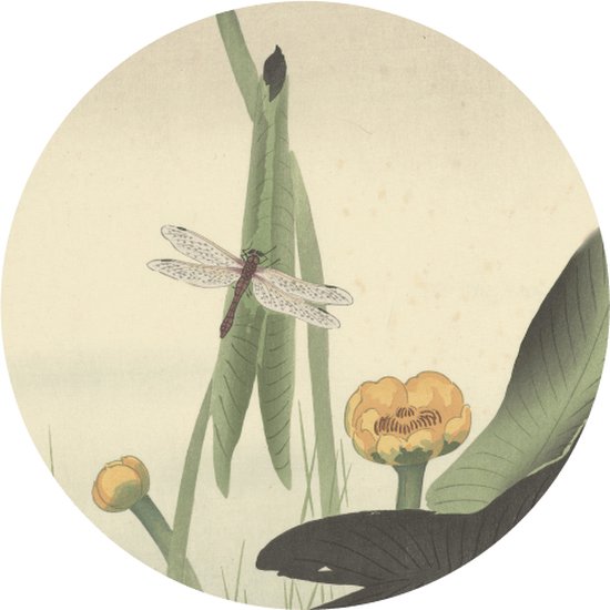 Libelle - Ø15cm - Japanse collectie - Forex Muurcirkel | NUUW at home collectie