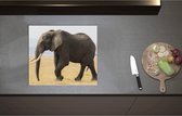 Inductieplaat Beschermer - Afrikaanse Olifant - 57x50 cm - 2 mm Dik - Inductie Beschermer - Bescherming Inductiekookplaat - Kookplaat Beschermer van Wit Vinyl