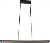 Hanglamp Steinhauer Zelena LED - Zwart