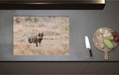 Inductieplaat Beschermer - Aankijkend Zwijn in Droog Afrikaans Landschap - 71x50 cm - 2 mm Dik - Inductie Beschermer - Bescherming Inductiekookplaat - Kookplaat Beschermer van Zwart Vinyl