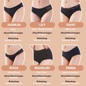 Aperçu de six modèles de sous-vêtements menstruels: Jasmim (basique), Lily (dentelle, fibres de bambou), Daisy (taille mi-haute), Roos (string/thong), Madelief (taille haute), Emma (hipster).