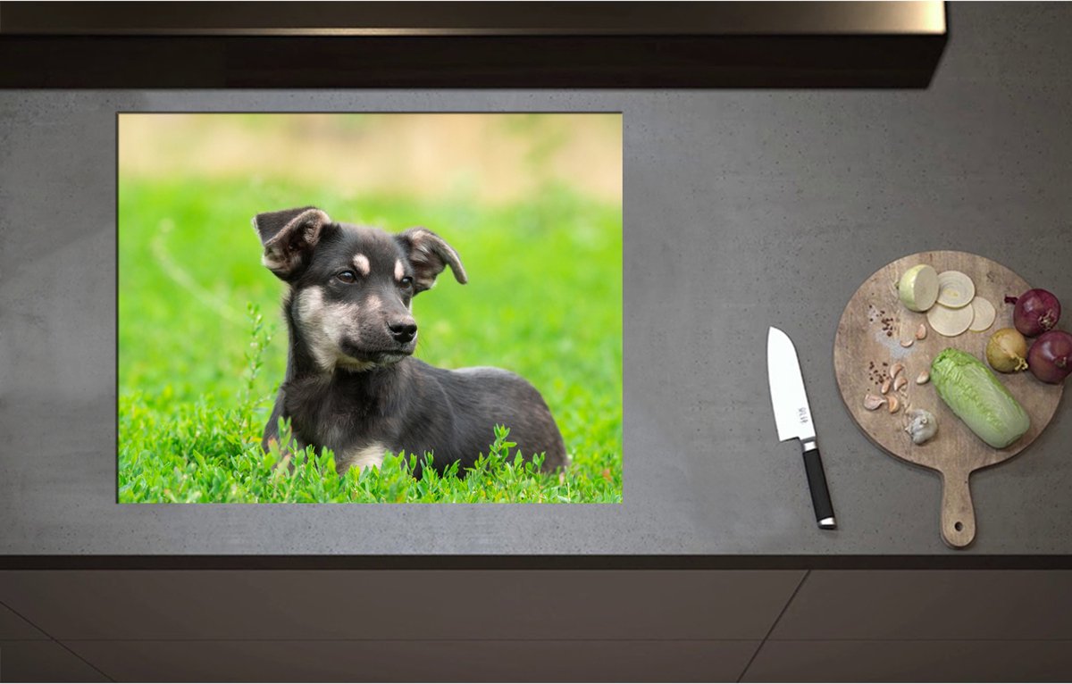 Inductieplaat Beschermer - Aandoenlijke Zwart met Bruine Puppy liggend in het Grasveld - 71x55 cm - 2 mm Dik - Inductie Beschermer - Bescherming Inductiekookplaat - Kookplaat Beschermer van Wit Vinyl