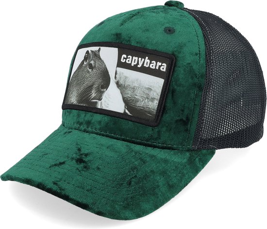 Hatstore- Kids Youth Capybara Sofa Velvet Green/Black - Iconic Cap