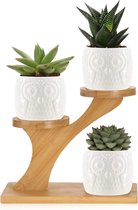 Set van 4 Succulenten Potten met Standaard - Kleine Porseleinen Uil Bloempotten - Plantenbakken met Bamboe Standaard - Plantenbak