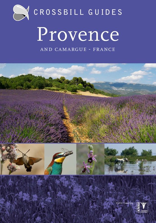 PROVENCE AND CAMARGUE, FRANCE - cover