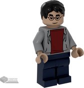 LEGO Minifiguur hp213 Thema Harry Potter