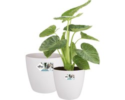 Elho Brussels Rond Wielen - Grote Bloempotten voor Binnen - 100% Gerecycled Plastic - Set van 2 - Ø 35, 40 cm - Wit