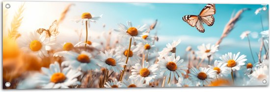 Tuinposter – Bloemen - Vlinder - Madeliefjes - 120x40 cm Foto op Tuinposter (wanddecoratie voor buiten en binnen)