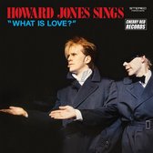 Howard Jones Sings, 'What Is Love'