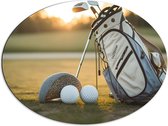 Dibond Ovaal - Golf - Golfbal - Sport - Hobby - Tas - Gras - 80x60 cm Foto op Ovaal (Met Ophangsysteem)