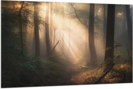 Vlag - Bomen - Bos - Pad - Zonlicht - Bladeren - 150x100 cm Foto op Polyester Vlag