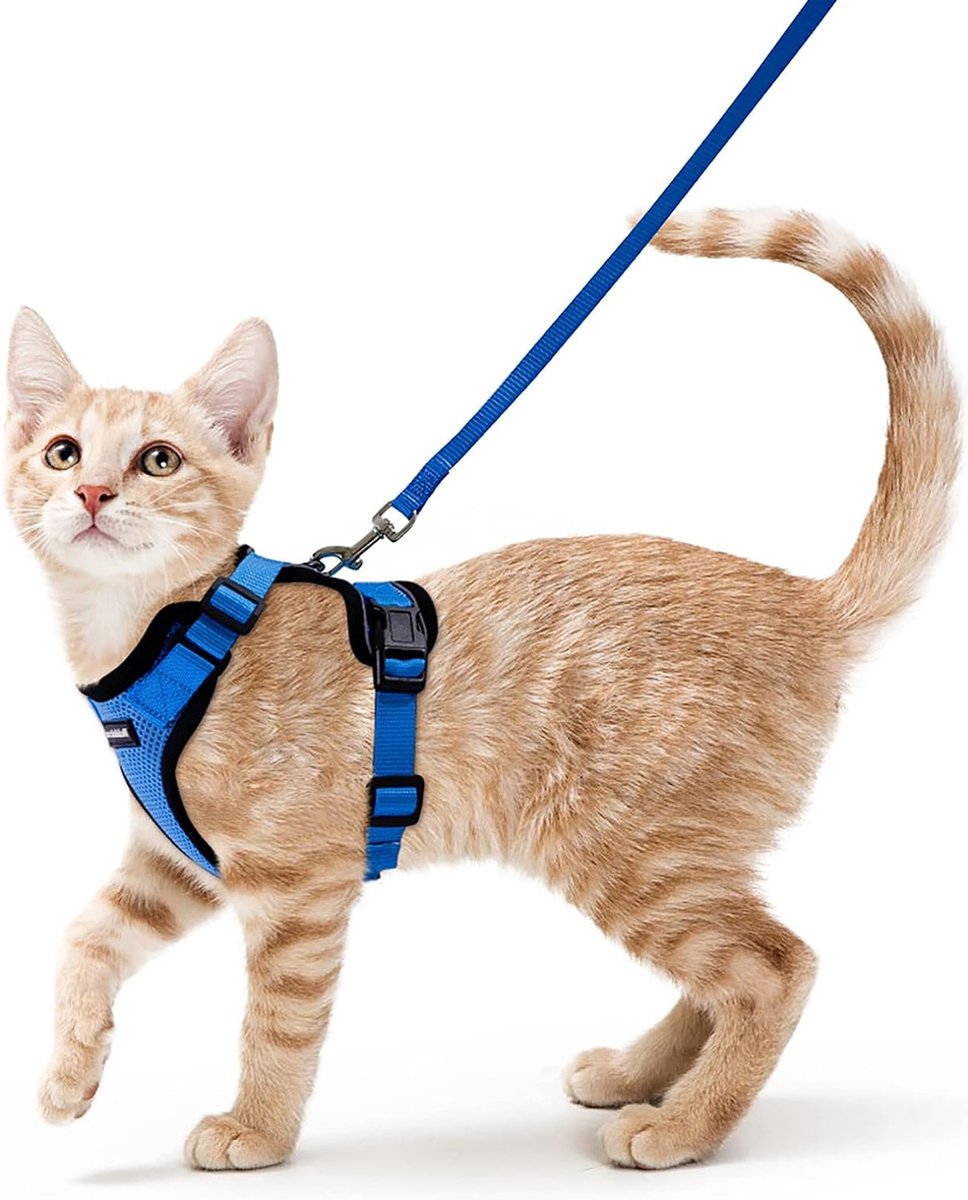 Kattentuigje met riem Zacht tuigje voor kat Borsttuigje Kattentuigje Kattenset Ontsnappingsbestendig Verstelbaar Kattenvest Blauw XS