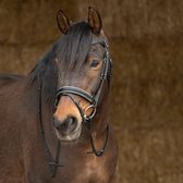 Harry's Horse Hoofdstel Sparkle leder Full Zwart
