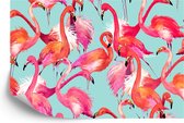 Fotobehang Flamingo's - Vliesbehang - 416 x 254 cm