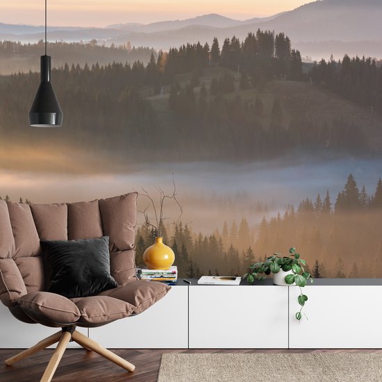 Papier peint photo Forêt dans la brume - Papier peint non tissé - 400 x 280 cm