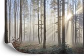 Fotobehang Bos In Mist - Vliesbehang - 360 x 240 cm