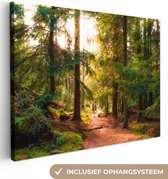 Canvas Schilderij Bos - Pad - Bomen - Groen - Zon - Natuur - 80x60 cm - Wanddecoratie