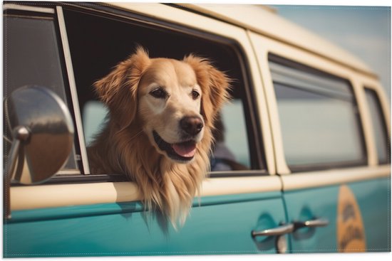 Vlag - Golden Retriever Hond uit Raam van Blauw Busje - 60x40 cm Foto op Polyester Vlag