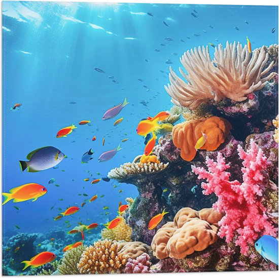 Vlag - Felkleurige Koraal Omringd door Tropische Vissen op Zeebodem - 50x50 cm Foto op Polyester Vlag