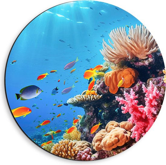 Dibond Muurcirkel - Felkleurige Koraal Omringd door Tropische Vissen op Zeebodem - 40x40 cm Foto op Aluminium Muurcirkel (met ophangsysteem)