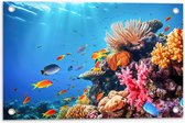 Tuinposter – Felkleurige Koraal Omringd door Tropische Vissen op Zeebodem - 60x40 cm Foto op Tuinposter (wanddecoratie voor buiten en binnen)