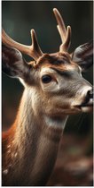 Poster Glanzend – Tevreden Hertje in het Bos - 50x100 cm Foto op Posterpapier met Glanzende Afwerking