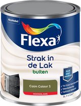 Flexa Strak in de lak - Buitenlak Hoogglans - Calm Colour 1 - 1l