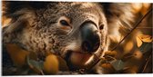Acrylglas - Close-up van Koala Kop tussen de Planten - 100x50 cm Foto op Acrylglas (Wanddecoratie op Acrylaat)