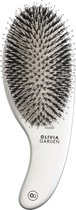 Olivia Garden - Curve - Sanglier & Nylon - Argent - Brosse à cheveux