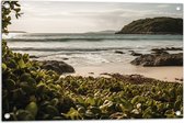 Tuinposter – Kleine Groene Planten op het Strand aan de Zee - 75x50 cm Foto op Tuinposter (wanddecoratie voor buiten en binnen)