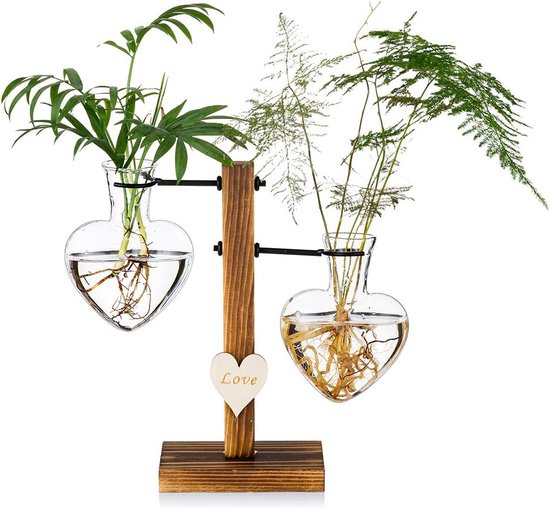 Plantenterrarium Houten Standaard Luchtplantenbak Glazen