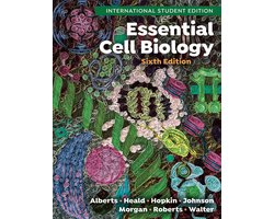 Essential Cell Biology | 9781324033394 | Bruce Alberts Essential Cell Biology | 9781324033394 | Bruce Alberts