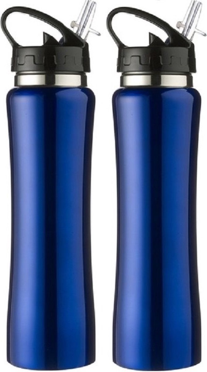 2x Blauwe RVS bidons/drinkflessen met buigbare drinktuit 500 ml - Sportfles