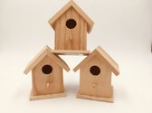 Mini Vogelhuisjes, 7x7x10cm, set van 3 stuks, hout onbehandeld, EFCO 1432698