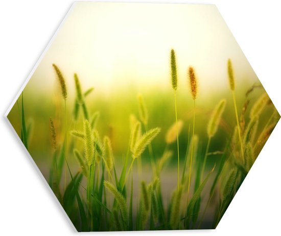 PVC Schuimplaat Hexagon - Natuur - Planten - Rijtje - Groen - 30x26.1 cm Foto op Hexagon (Met Ophangsysteem)