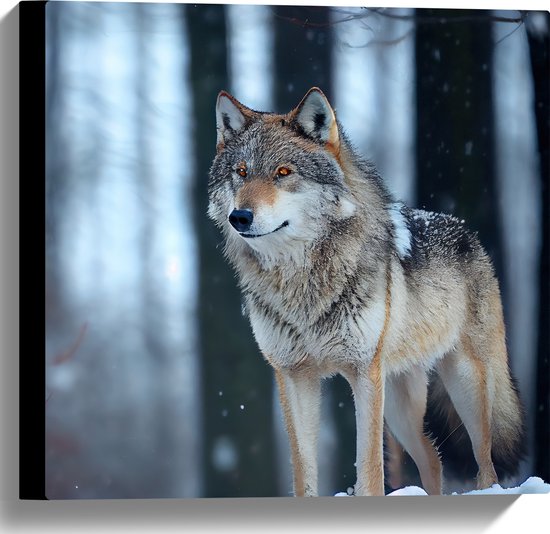 Canvas - Wolf staat in een bos in de winter - 40x40 cm Foto op Canvas Schilderij (Wanddecoratie op Canvas)