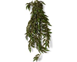 Kunstplant Ruscus - Kunstplanten - Benodigdheden - Overig