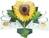 3D Pop-up wenskaart met envelop Sunflower