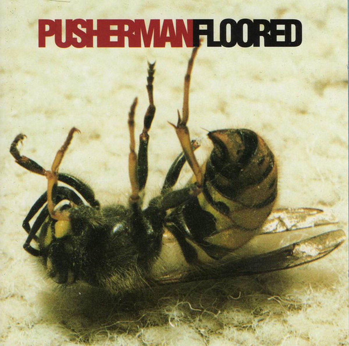 Floored