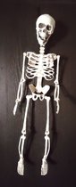 Totally Halloween | Skelet | Hangend | Beweegbaar | 70 cm