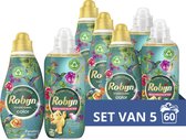 Robijn Perfect Match Color Paradise Secret Vloeibaar Wasmiddel en Wasverzachter Pakket - set van 5 (60 wasbeurten) - Voordeelverpakking