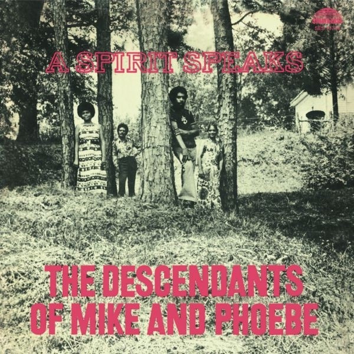 The Descendants Of Mike And Phoebe - A Spirit Speaks (LP)