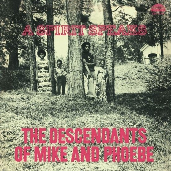 The Descendants Of Mike And Phoebe - A Spirit Speaks (LP)